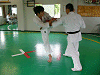 syo (119)_samu.gif